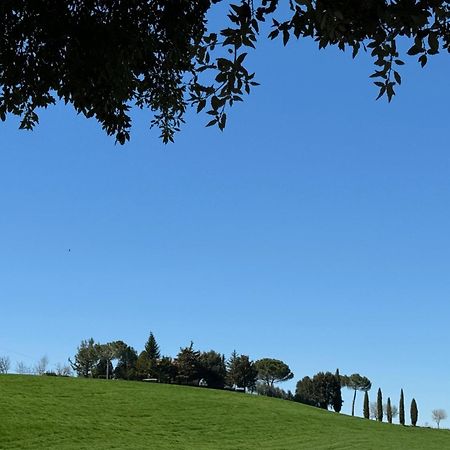 Orvieto Country House Leilighet Castiglione In Teverina Eksteriør bilde