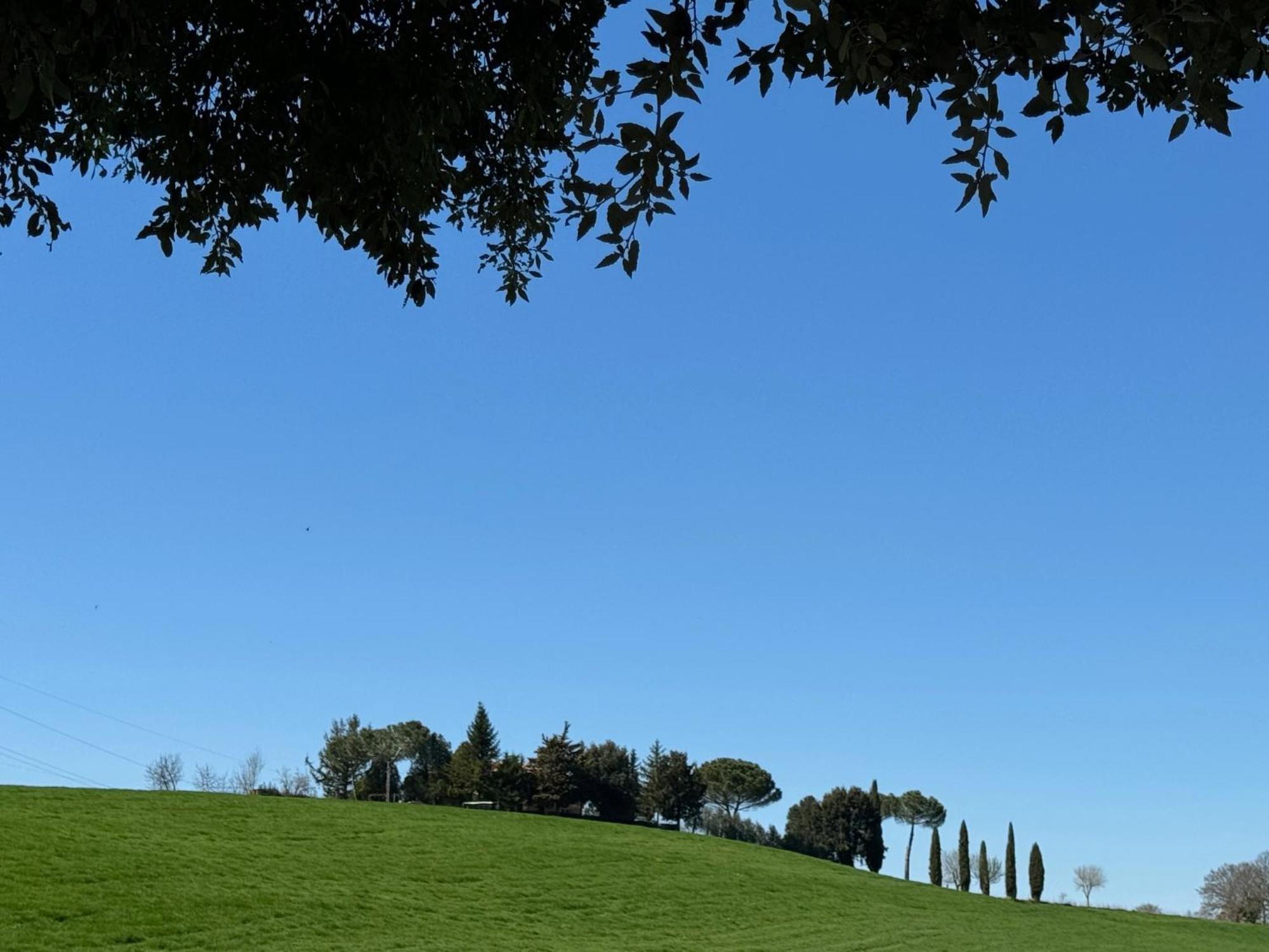 Orvieto Country House Leilighet Castiglione In Teverina Eksteriør bilde