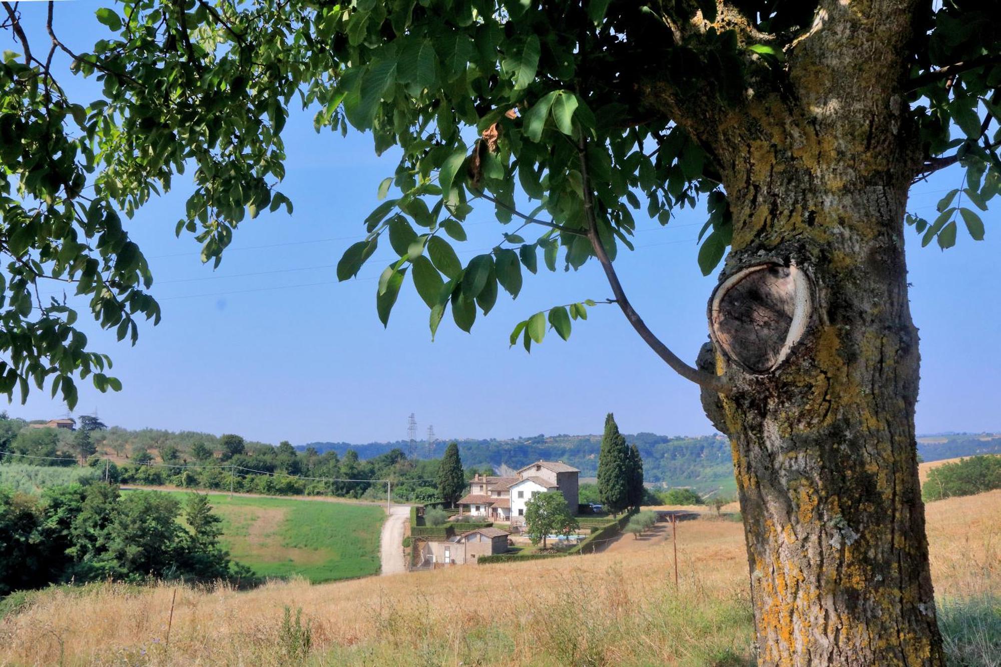 Orvieto Country House Leilighet Castiglione In Teverina Eksteriør bilde