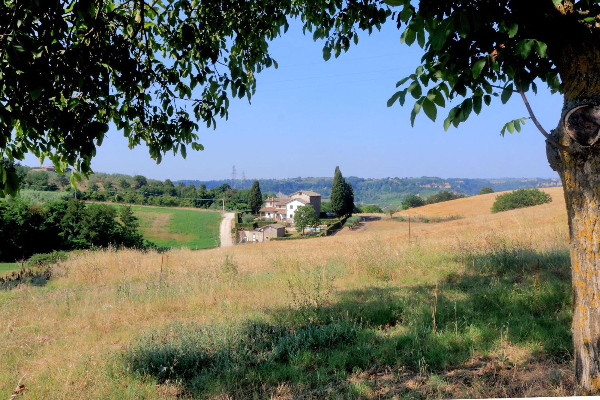 Orvieto Country House Leilighet Castiglione In Teverina Eksteriør bilde