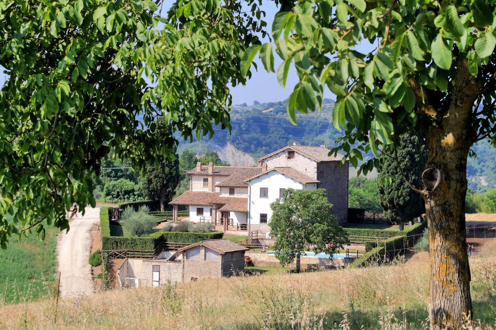 Orvieto Country House Leilighet Castiglione In Teverina Eksteriør bilde